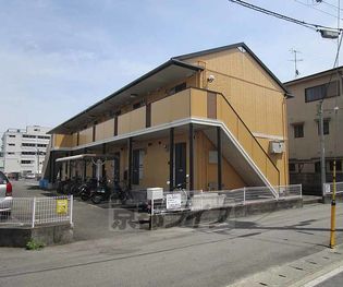 コート桂の画像