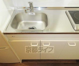 アルビオンシティ京都沢町のシンク大き目です