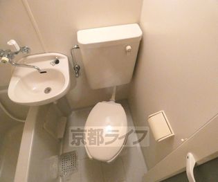 上賀茂松柏の画像