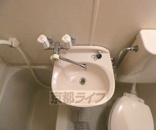 上賀茂松柏の画像