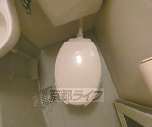 上賀茂松柏の画像