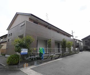 sedia・千尋の画像