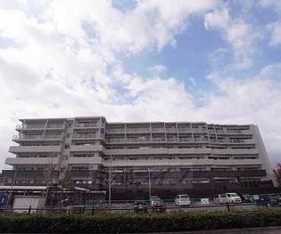 ネバーランド葛野大路三条メロディアの画像