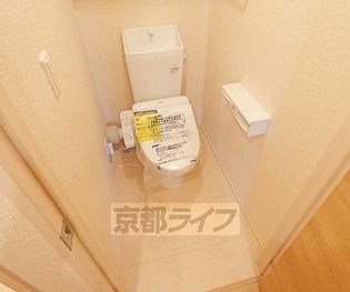 カメリアの画像