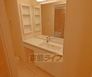 カメリアの画像