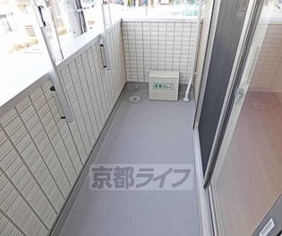 カメリアの画像