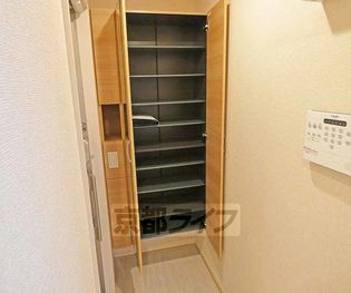 カメリアの画像