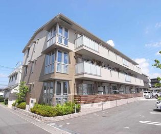 アヴィスエールの画像