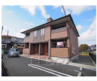 コリーヌ栗の木の画像