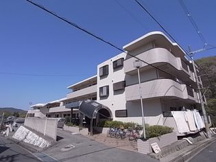 ロイヤルコート山の街の画像