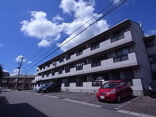 リオ谷上の画像