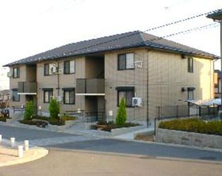 グリーンパーク ニレの木の画像