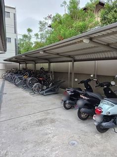 ベル・ドールの画像