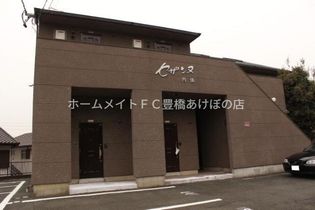 セザンヌ内張の画像