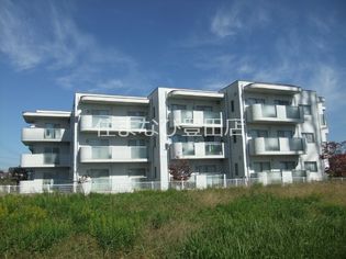 ホワイトホークの画像