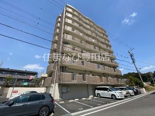 Rolling Hillsの画像