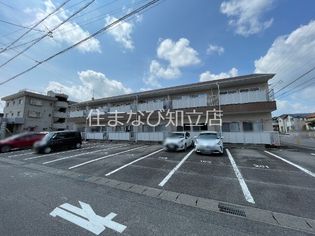 タウニーKの画像