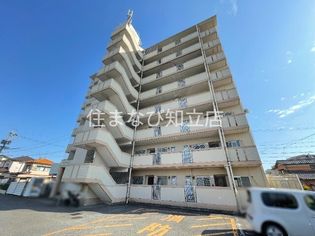 ロフティー池浦の画像