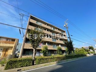愛知県安城市東栄町5丁目の賃貸マンションの画像