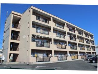 マリッチ小桜の画像