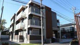 レーヴ・シェソワの画像