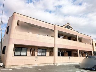 M・Mコンフォルトの画像