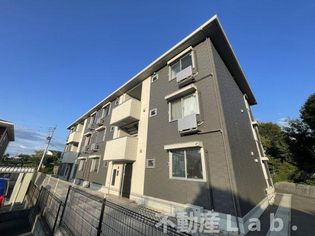 セレブ火の君の画像