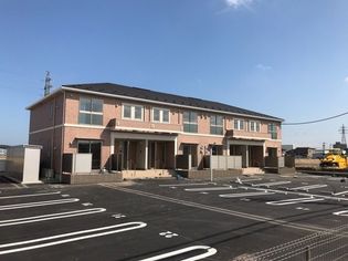 フォレットBの画像