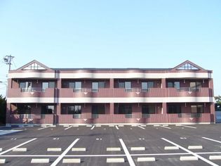 サイネリア−KⅠの画像