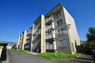 エル・セレーノ志紀の画像