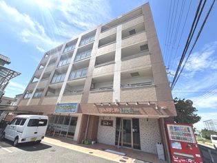 サニーヴィラジェミーの画像