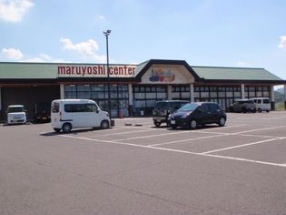 プラシード Bの画像