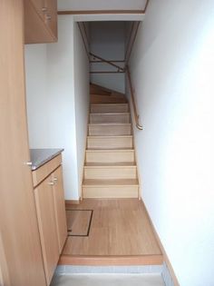 プラシード Bの画像