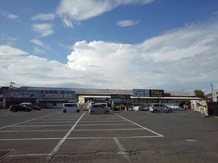 タイム坂出店まで2800m