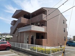 ヴィドゥ カンパーニュの画像