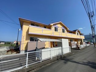 グレイス横黒の画像