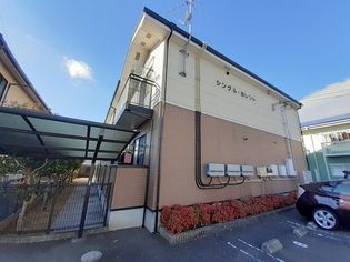 シングルカレントの画像