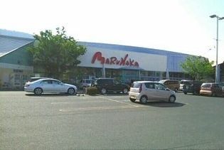 ブルースターBの画像