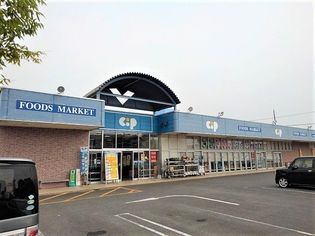 コープかがわ観音寺店まで1000m