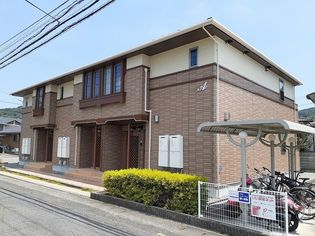 マーヴェラスAの画像