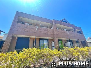 ヒールコートの画像