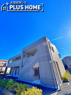 ゼン・アムールの画像