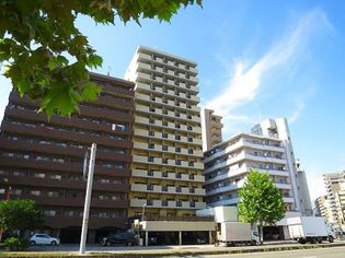 Der Strada.Y2『ふじみ』の画像