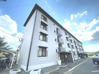 福岡県福岡市城南区樋井川6丁目の賃貸マンションの画像