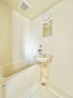 サクセスホワイトのバス