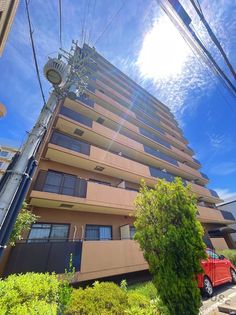 ロビン・ソングの画像