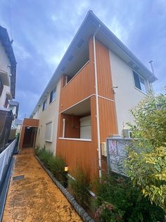 プリムローズの画像