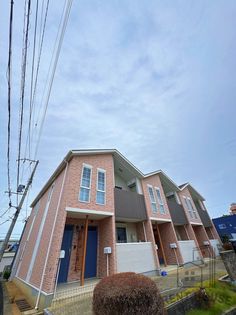 ネオビヤンⅡの画像