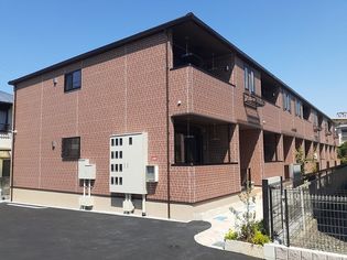 キング パンプキンの画像