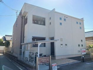 プリムローズの画像